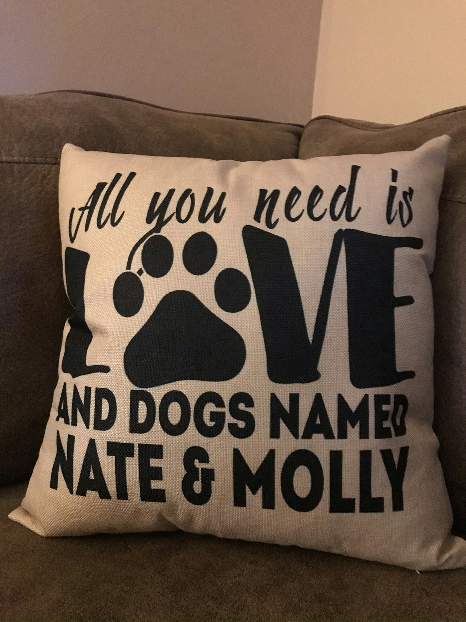 MY HOUSE IS NOT A HOME WITHOUT YOU PILLOWPersonalized Pet name Throw Pillow